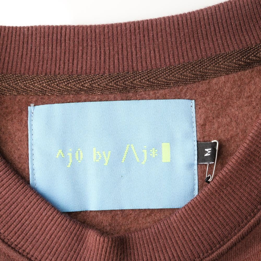 아조바이아조 브라운 기모 맨투맨 스웨트셔츠 상세 이미지 5