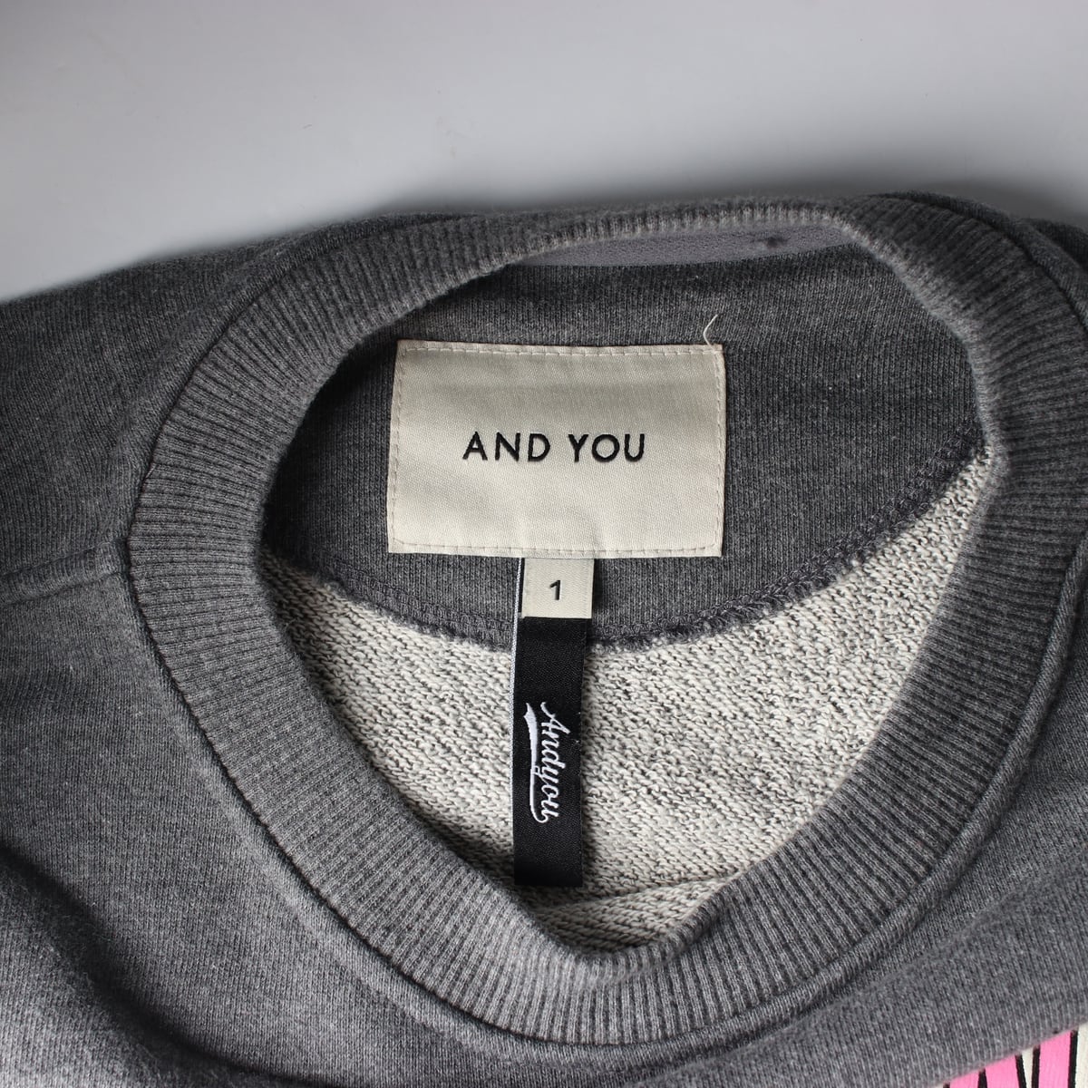 앤유 22FW 산타모니카 그래픽 프린팅 맨투맨 스웨트셔츠  상세 이미지 3