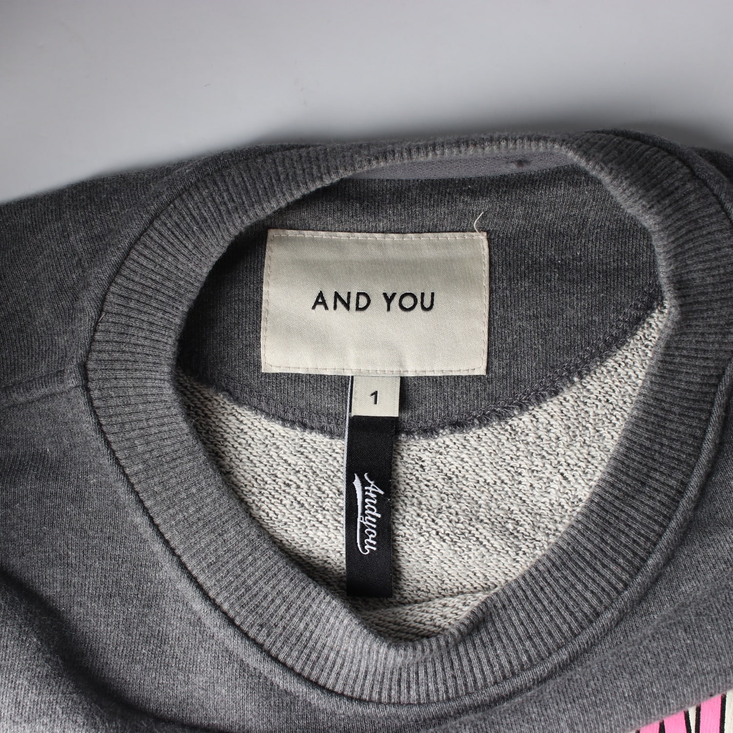 앤유 22FW 산타모니카 그래픽 프린팅 맨투맨 스웨트셔츠  이미지 3