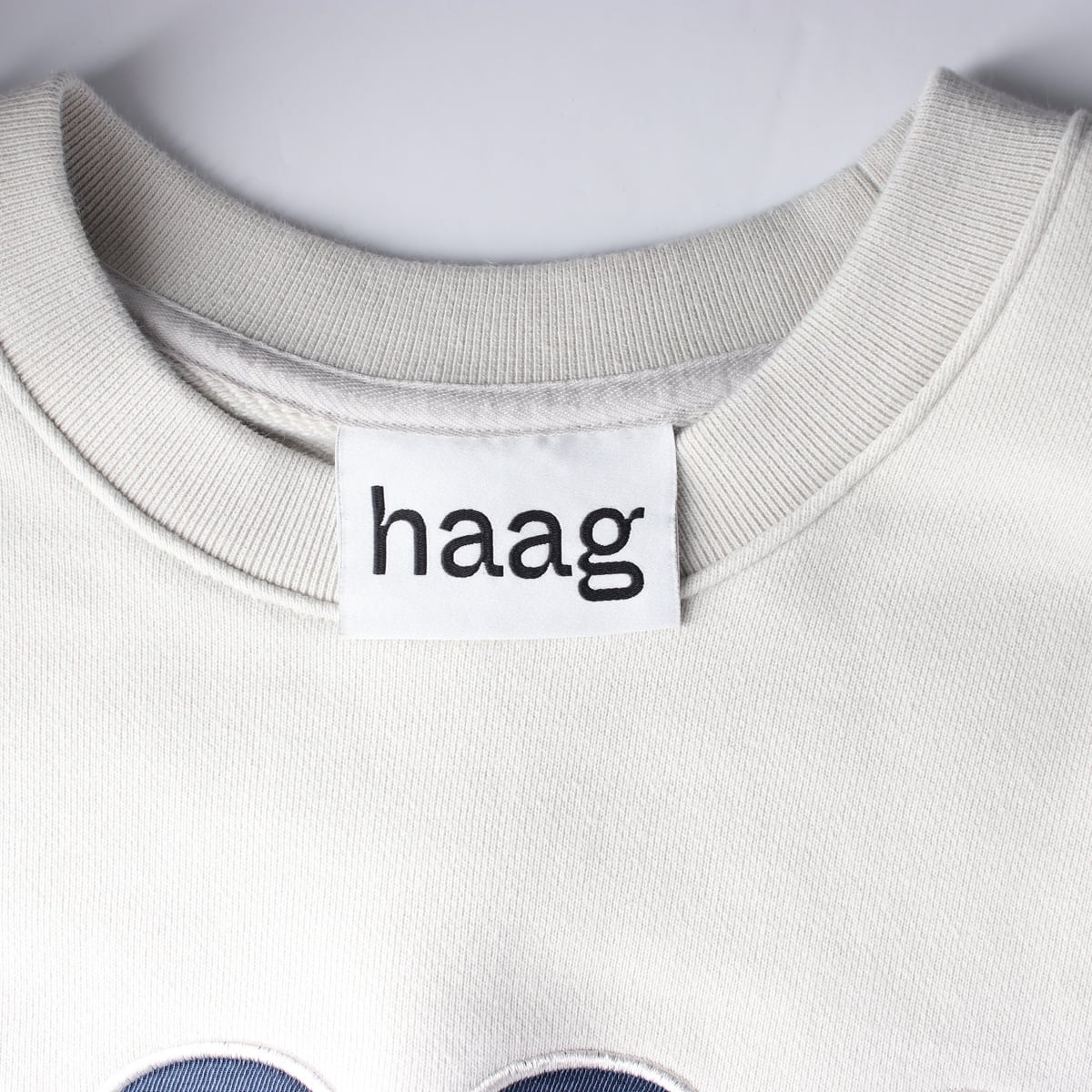 헤이그 haag 23FW 어 벌스데이 스웨트셔츠 로고 맨투맨 상세 이미지 3